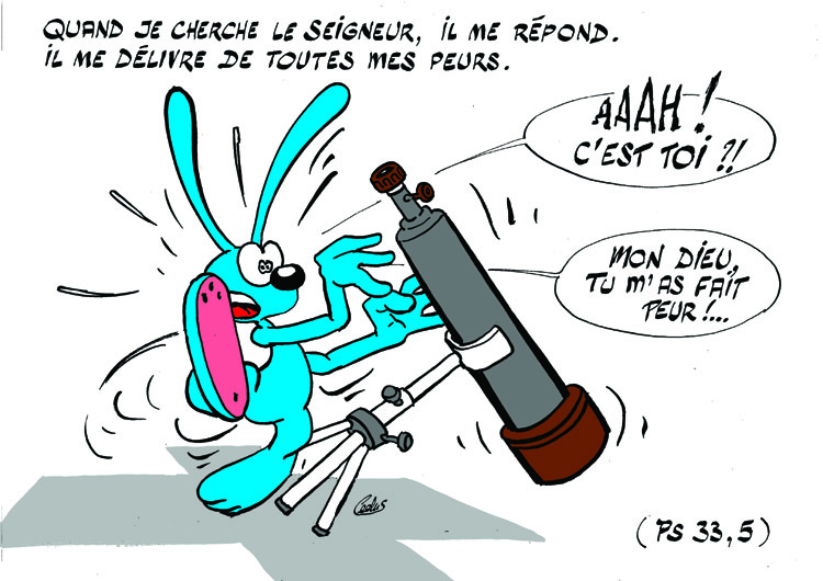 Lapinbleu536C-Ps33_5